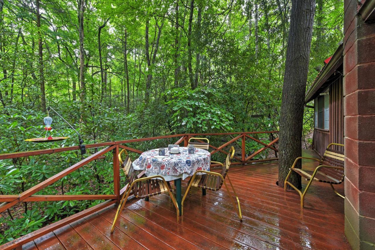 Serene Creekside Cottage Near Asheville Fire Pit Candler Dış mekan fotoğraf