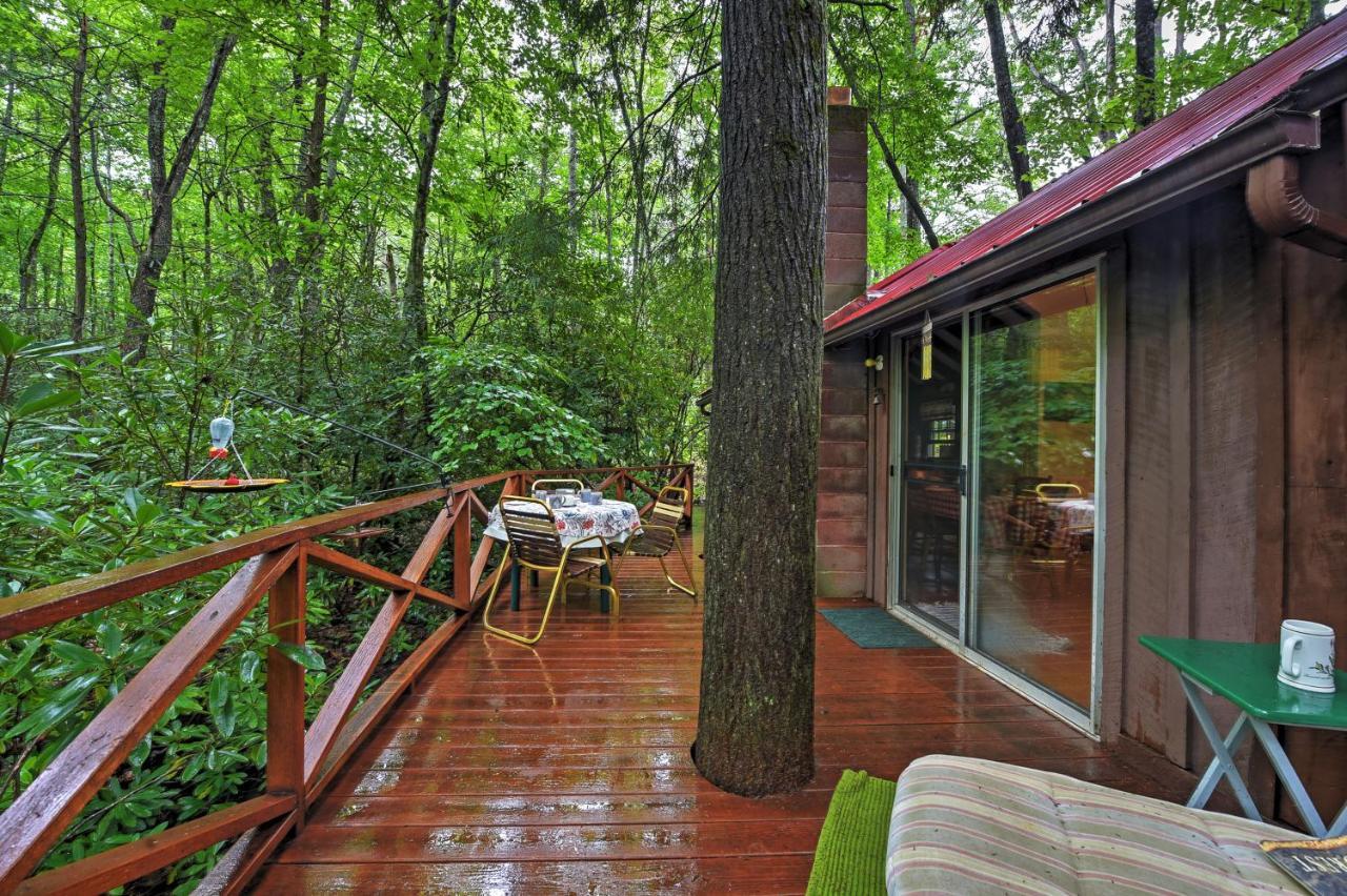 Serene Creekside Cottage Near Asheville Fire Pit Candler Dış mekan fotoğraf