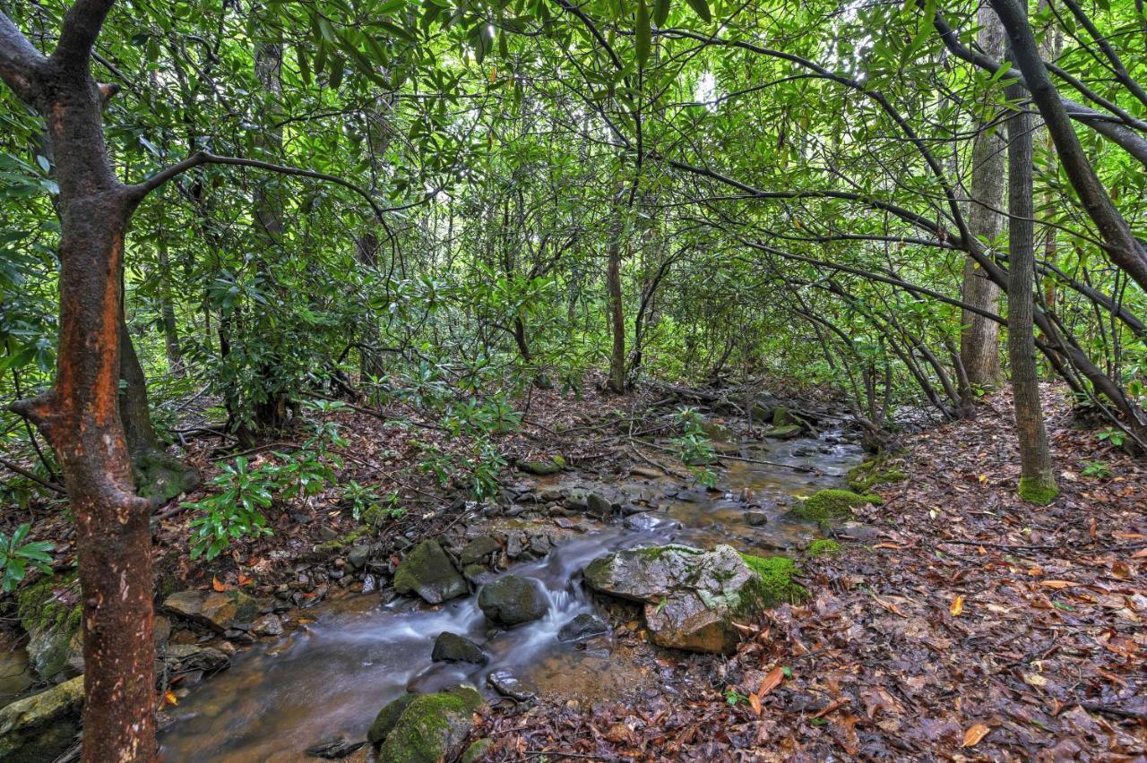 Serene Creekside Cottage Near Asheville Fire Pit Candler Dış mekan fotoğraf